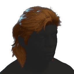 Mullet Hair