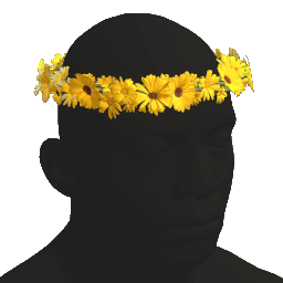 Flower Crown